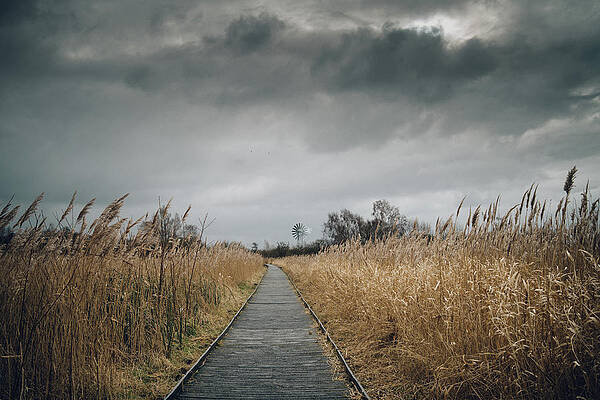 Wall Art - Photograph - Boardwalk by James Billings