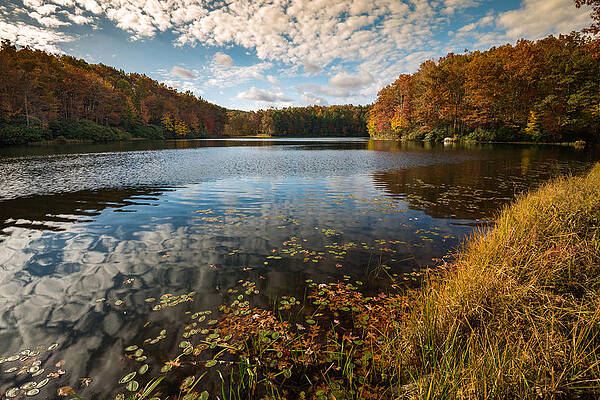 Boley Lake Babcock State Park by Rick Dunnuck Boley Lake Babcock State Park by Rick Dunnuck
