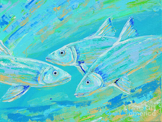 Abstract Fish Paintings Page 40 Of 68 Fine Art America
