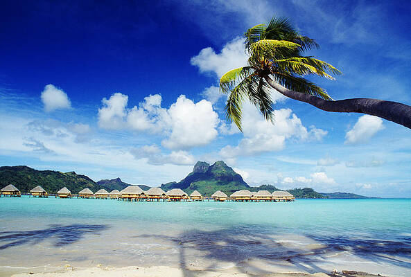 Wall Art - Photograph - Bora Bora, Lagoon Resort by Himani - Printscapes