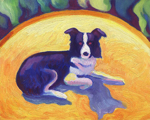 Border Collie by Linda Ruiz-Lozito Border Collie by Linda Ruiz-Lozito