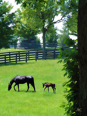 Born in Bluegrass 2 by Sam Davis Johnson Born in Bluegrass 2 by Sam Davis Johnson