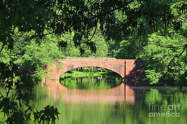 Wall Art - Photograph - Bridge Reflection in the Spring by Jill Lang