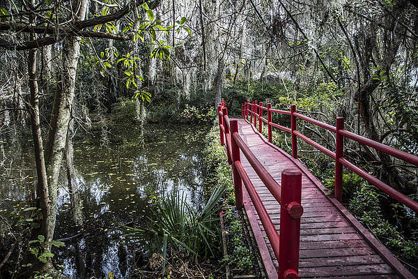 Bridge to swamp by John McGraw Bridge to swamp by John McGraw