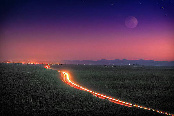 Brissy Lights by Daryl James
