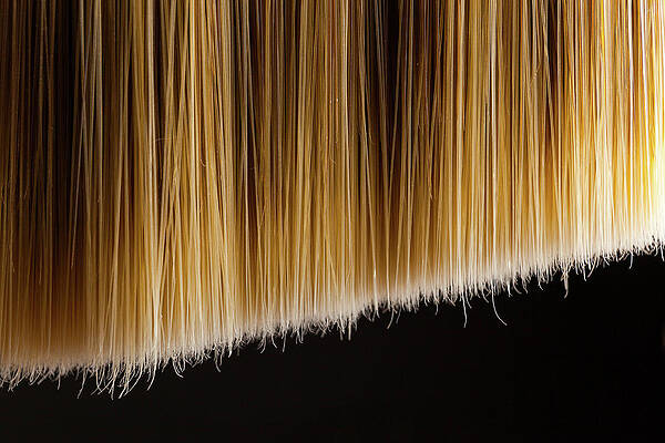 Wall Art - Photograph - Bristles by SR Green