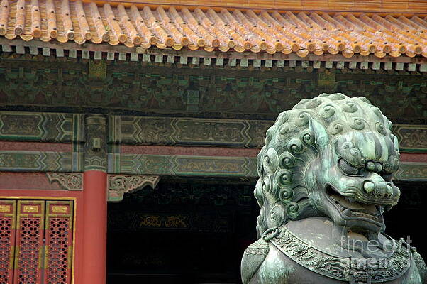 Wall Art - Photograph - Bronze lion protecting the Gate of Supreme Harmony by Sami Sarkis Photography