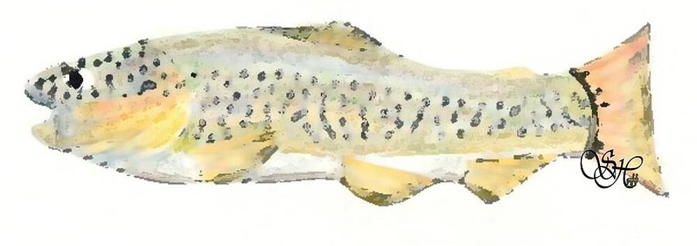 Brown Trout Painting By Stacy Heydt