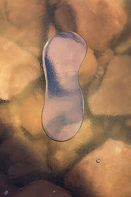 Wall Art - Photograph - Bubble Up by Deborah Hughes