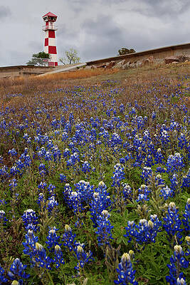 Buchanan Lake Lighthouse by Paul Huchton Buchanan Lake Lighthouse by Paul Huchton