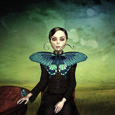 Butterfly Portrait in the meadow by Britta Glodde Butterfly Portrait in the meadow by Britta Glodde