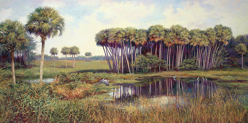 Florida Everglades Art for Sale - Fine Art America