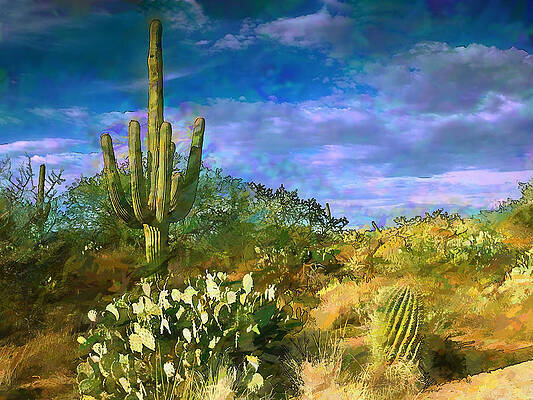 Cactus Paintings (Page #20 of 35) | Fine Art America