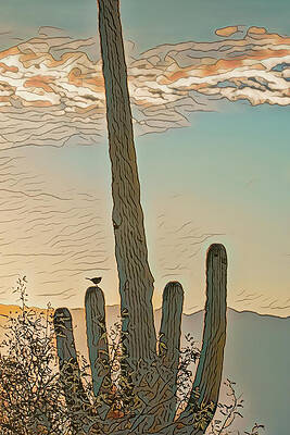 Cactus Wren serenade by Dan McManus Cactus Wren serenade by Dan McManus