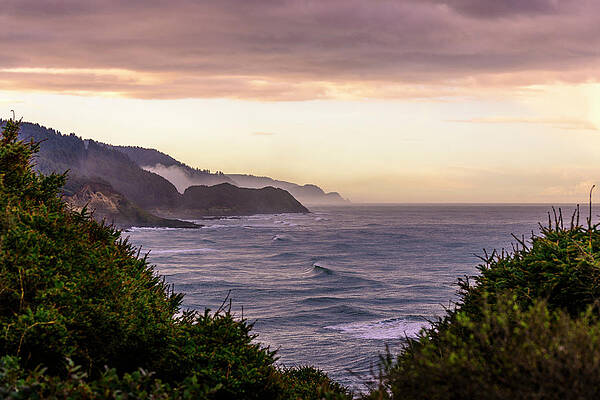 Cape Perpetua, Oregon coast by Bryan Xavier Cape Perpetua, Oregon coast by Bryan Xavier