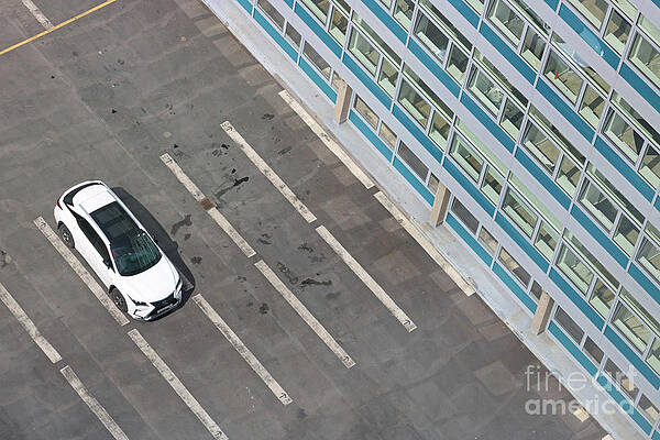 Wall Art - Photograph - Car and tower block view by Julia Gavin