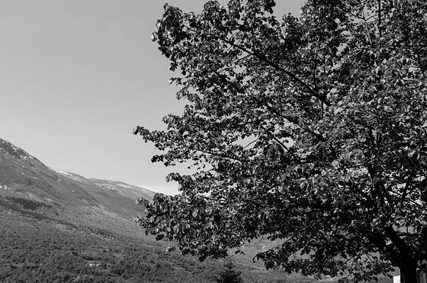 Wall Art - Photograph - Caramanico - Landscapes from Italy 5 by AM FineArtPrints