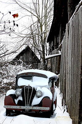Cardinal Barn by John McDonald