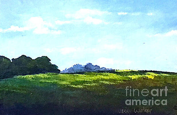 Carolina Landscape by Jerry Walker Carolina Landscape by Jerry Walker