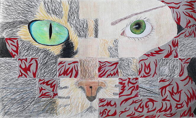 Grey Cat Green Eyes Art Page 8 Of 10 Fine Art America