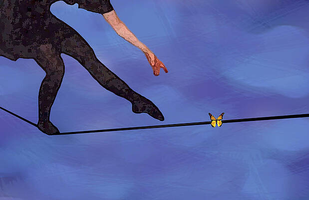 Catching Butterflies by Steve Karol