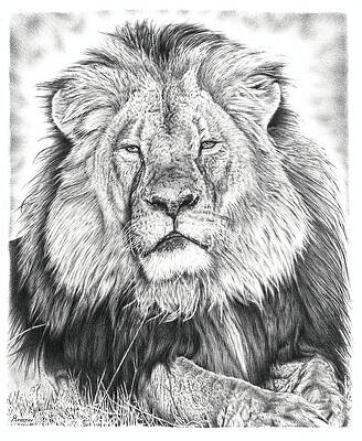 Wall Art - Drawing - Cecil The Lion  by Casey 'Remrov' Vormer
