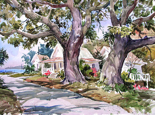 Cedar Key Survivors by Tony Van Hasselt Cedar Key Survivors by Tony Van Hasselt