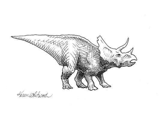 90 Jurassic Park Illustrations RoyaltyFree Vector Graphics  Clip Art   iStock  Dinosaur Jurassic world Trex