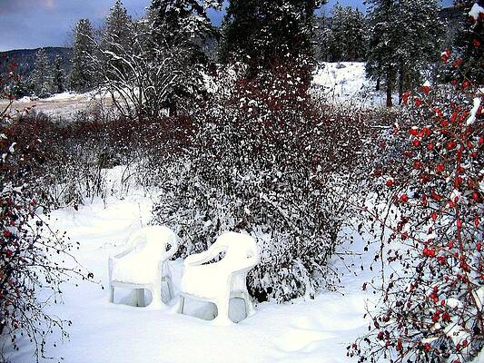 Chairs For Two by Will Borden Chairs For Two by Will Borden