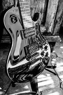 Charvel Desolation by Nicky Meyer Charvel Desolation by Nicky Meyer