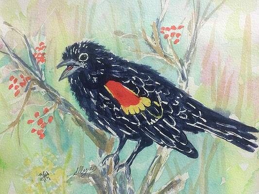 Red-winged Blackbird in Flight Painting #1