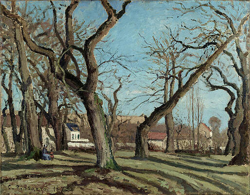 Chestnut Grove At Louveciennes Print by Camille Pissarro