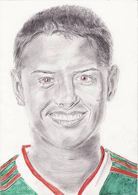 Manchester United Drawings Fine Art America