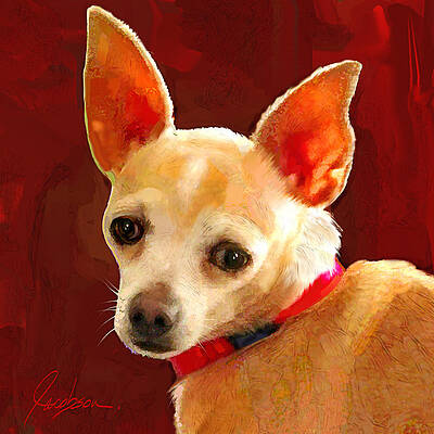 Chihuahua 2 by Jackie Jacobson Chihuahua 2 by Jackie Jacobson