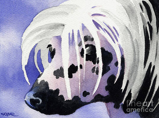 Chinese Crested Paintings for Sale - Pixels