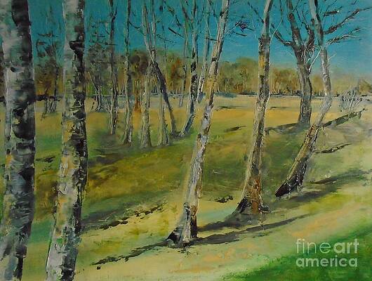 Clearing in the Woods by Angela Cartner Clearing in the Woods by Angela Cartner