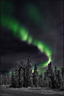 Wall Art - Photograph - Cold Winter's Night by Erika Fawcett