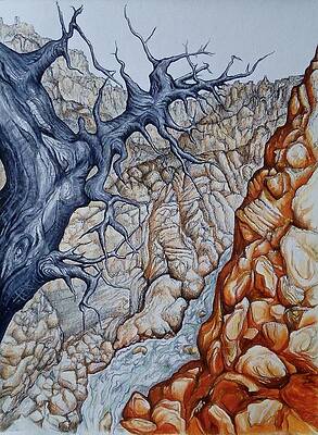 Wall Art - Drawing - Colorado Canyon by Leizel Grant