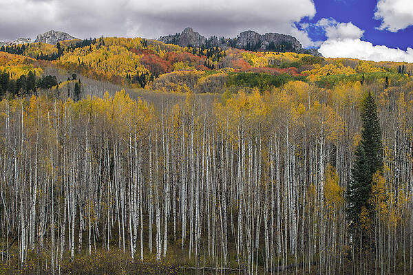 Colorado Splendor by Gary Lengyel Colorado Splendor by Gary Lengyel