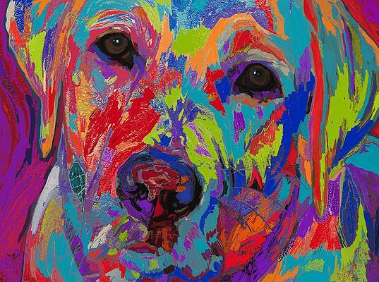Abstract Dog Paintings Fine Art America