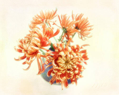 Colorful Mums in Red and Yellow by Louise Kumpf Colorful Mums in Red and Yellow by Louise Kumpf