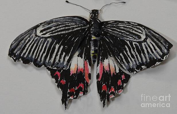 Wall Art - Painting - Common Mormon Butterfly by Bev Morgan
