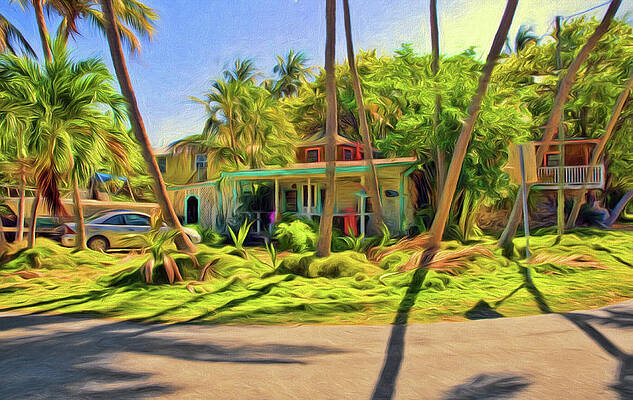 Wall Art - Photograph - Conch Key House by Ginger Wakem