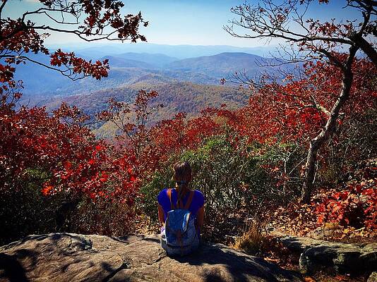 Wall Art - Photograph - Contemplate by Richie Parks