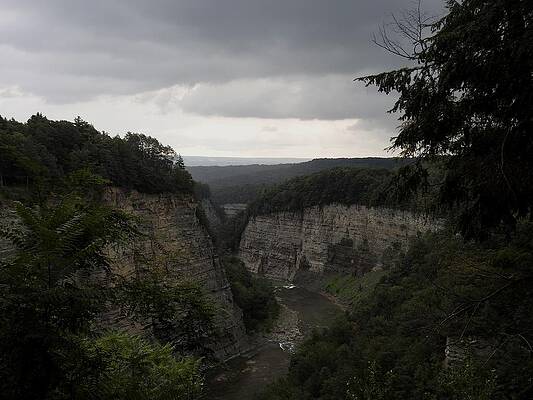 Cool Gray Day by Monica Link