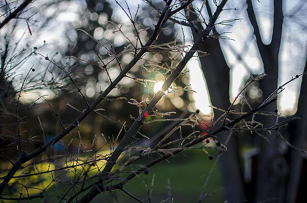 Cool Sunset by Ryan Thomas