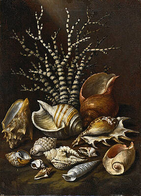  Coral and Shells Print by Paolo Porpora