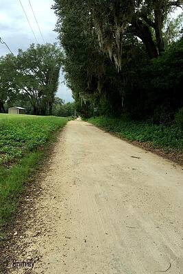 Country Road by LESSANDRA GRIMLEY Country Road by LESSANDRA GRIMLEY