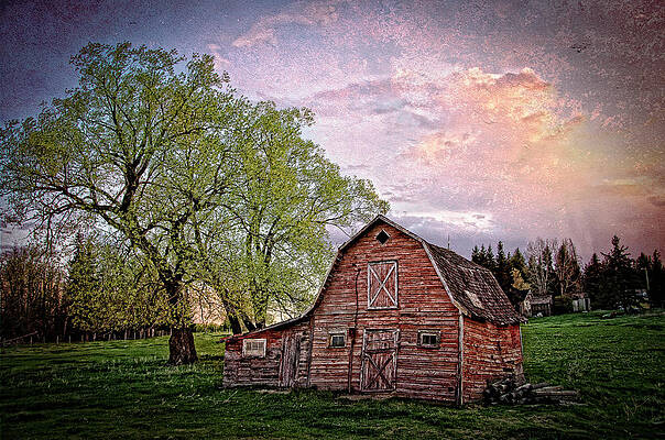 Country Spring by Steve  Milner