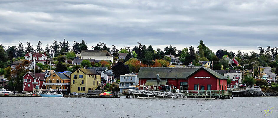 Coupeville Delight by Rick Lawler